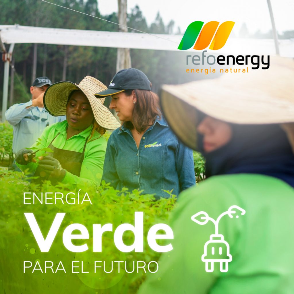 Energía verde para el futuro